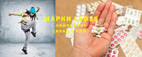 PSILOCYBIN Верея