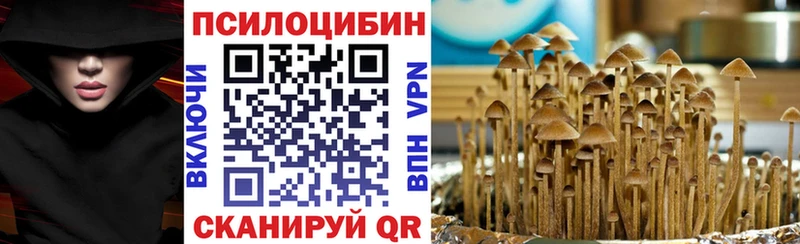 Псилоцибиновые грибы Psilocybine cubensis  где можно купить   Выкса 